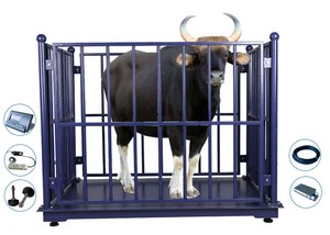 碳钢汽车称重秤动物牲畜称重秤动物秤2000千克 - Product Image 2