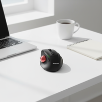 Ratón óptico con bola de seguimiento inalámbrico USB, personalizable con logotipo, OMR990, recargable, ergonómico con control