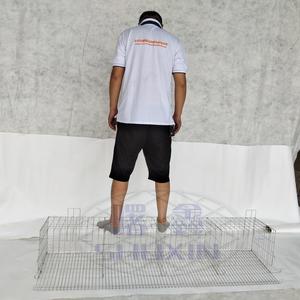 Durable granja avícola huevo <span class=keywords><strong>pollo</strong></span> capa de jaula de cría de equipo para <span class=keywords><strong>el</strong></span> mercado de África - Product Image 6