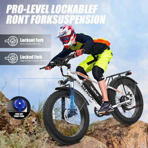 VARUN Vélo électrique de montagne de 26 pouces 1000 W 48V 15AH longue portée 85km vélo électrique de ville pour hommes femmes vélo électronique - Product Image 4