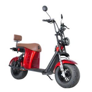 Nouvelle trottinette électrique Citycoco Brésil 2026 à pneus larges pour adultes, vente chaude, directement de l'usine - Product Image 1
