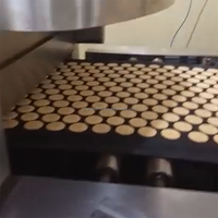 Nouvelle ligne de production entièrement automatique de biscuits aux lait et aux noix, équipement de formage de biscuits, machine à biscuits croustillants, utilisation en boulangerie, acier inoxydable 304