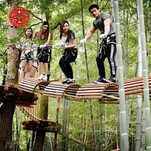 Aérienne Forêt Aventure Treetop Trekking Corde Course Expansion Série Jungle Aventure Escalade Aire De Jeux Équipement - Product Image 5