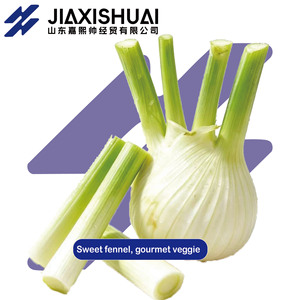 Huescas de Hinojo Frescas, Raíces de Hinojo Dulces, Especias para Ensaladas y Zumos, Guarnición de Estilo Occidental - Product Image 1