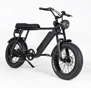 ZHENGBU K6F 20 "Elektro fahrrad E-Bike/Magnesium rahmen 1000W 48V faltbares Elektro fahrrad/8-Gang-Fettreifen-Elektrofahrrad