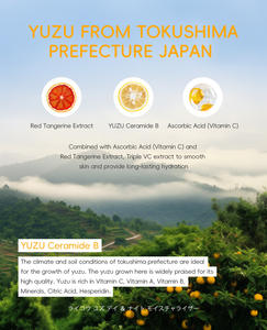 Nuevo Producto <span class=keywords><strong>Crema</strong></span> 25g Hidratante y Humectante para la Piel, Suero Nutritivo, Cosméticos, Venta al por Mayor - Product Image 3