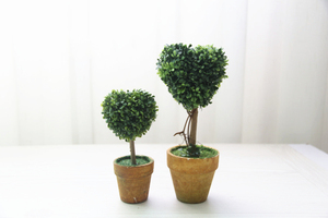 6 formas Artificial <span class=keywords><strong>musgo</strong></span> fresco <span class=keywords><strong>bolas</strong></span> planta verde hermosa Casa <span class=keywords><strong>de</strong></span> la decoración del Partido <span class=keywords><strong>de</strong></span> Moss adorno DIY Artificial <span class=keywords><strong>de</strong></span> hierba - Product Image 4