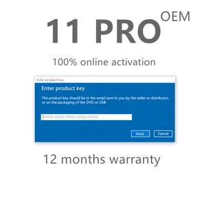 Genuiner Win11 Pro OEM-Lizenzschlüssel Online-Aktivierung Silber-Etikett für Win 11 Pro Schlüssel-Aufkleber Schlussverkauf 6 Monate Garantie