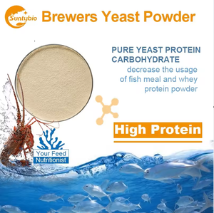 Nhà Máy Giá brewer men protein sử dụng trong thức ăn chăn nuôi - Product Image 5