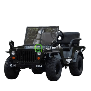 Richi Nouveau Modèle Quadricycle Mini Buggy SUV 4x4 pour Adultes Moteur 3000W Batterie 60V Cuir - Product Image 2