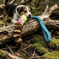 Jouet pour chien personnalisé, écologique, en véritable queue de raton laveur, pour l'extérieur, interactif, à tirer, de haute qualité, grand format, pour mâcher et jouer