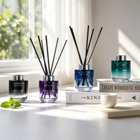 Ensemble diffuseur de parfum d'intérieur de luxe, huiles essentielles naturelles, désodorisant à l'huile parfumée le plus vendu