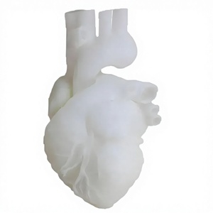 Modelo Humano <span class=keywords><strong>3D</strong></span> Reutilizable de Grado Médico Profesional, Prototipo Rápido de Resina para Estudio Anatómico - Product Image 3