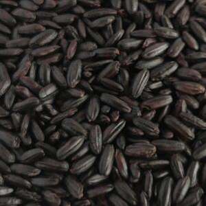 चीन मूल के शीर्ष आपूर्तिकर्ता काले चावल की थोक बिक्री सर्वोत्तम मानक लाल ग्लूटनस चावल उच्च गुणवत्ता वाली अकिना - Product Image 2