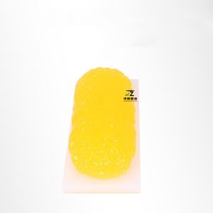 แบบจำลองไขมันพลาสติก อุปกรณ์สาธิตทางกายวิภาค อุปกรณ์การศึกษาด้านวิทยาศาสตร์ร่างกาย อุปกรณ์ช่วยสอนทางการแพทย์ โภชนาการ - Product Image 2