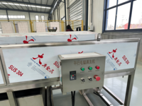 Machine de nettoyage de légumes à rouleaux brosse robuste, machine automatique de lavage et de pelage de pommes de terre pour ferme et usine de transformation alimentaire
