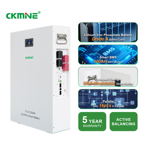 Batería CKMINE de 10 kWh, 51.2 V, 200 Ah, Montada en Pared, Celdas de Nivel 1, MSDS UN38.3, para Sistema de Almacenamiento de Energía Solar Doméstico - Product Image 2