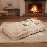 Coussin pour animaux de compagnie rectangulaire moderne et tendance, quatre saisons, pour chats et chiens, portable, confortable, antidérapant, amovible et lavable