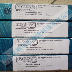 Rosa GR12 300 Guía Lineal Deslizante Original Italiana con Rodamientos de Bolas, Accesorio para Máquina Herramienta - Product Image 1