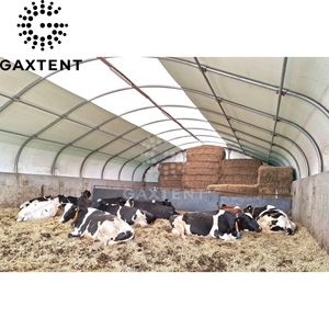 Abri pour bétail de 6 m x 6 m, tente de stockage de foin portable, tente pour animaux, abri pour chevaux - Product Image 5