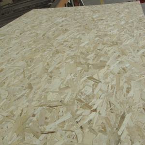 Panneau <span class=keywords><strong>OSB</strong></span> haute résistance, panneau de fibres orientées durable pour la construction de meubles et d'intérieurs et les revêtements de sol - Product Image 5