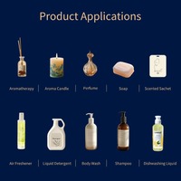 Vente en gros de parfum de marque célèbre Alien essence d'huile de parfum usage industriel de saveur pour la production de parfum