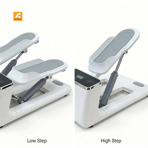 Venta Directa de Fábrica: Mini Stepper Elíptico Profesional de Acero, Diseño Exquisito y Atractivo, Capacidad Máxima de 110 kg - Product Image 2