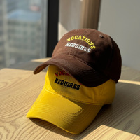 Casquette en coton personnalisée OEM, coton lavé, calotte souple pour hommes et femmes