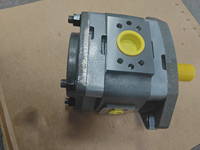 Pompe à engrenages hydromécanique IPC5-40-101 IPC 5-50 101 IPC5/40/101 Pompes à engrenages internes haute pression IPC IPC3 IPC4 IPC5 IPC6 IPC7