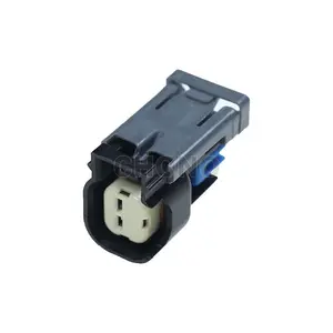 Delphi 2 Pin Aptiv Combustible EV6 EV14 Inyector Auto Conector 15305086