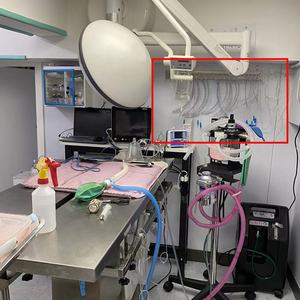 Supporto a Parete per <span class=keywords><strong>Stent</strong></span> Bronchiale e Tracheale, Porta Tubo Endotracheale Veterinario in Acciaio Inossidabile, Rastrelliera per Tubi ET - Product Image 5