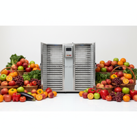 Déshydrateur Électrique Commercial pour Fruits et Légumes, Four de Séchage pour Noix, Économie d'Énergie, Contrôle Intelligent de la Température
