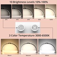 Lampe de bureau LED demi-lune pour manucure, éclairage en arc, vente en gros, mobilier de salon, design d'éclairage, couleurs réglables