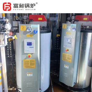 Chaudière de générateur de vapeur à gaz/mazout de rendement élevé pour l'usage industriel pour la basse pression de stérilisation de maison et de restaurant - Product Image 4