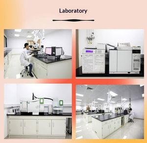 LEZ LEZXXXX Tubo de Plástico Acrílico PMMA Transparente Extruido Brillante, Económico y Popular, de Alta Transmitancia, para Uso Industrial, Corte en Fábrica - Product Image 5