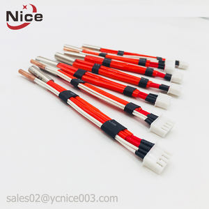 Élément chauffant pour <span class=keywords><strong>chauffe</strong></span>-<span class=keywords><strong>eau</strong></span> 12v 24v 60w, résistance chauffante pour <span class=keywords><strong>camping</strong></span>, cartouche chauffante pour voiture - Product Image 4