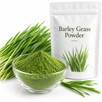 Poudre d'herbe d'orge naturelle LongBio, poudre de feuilles de jeunes pousses d'orge (Hordeum Vulgare), superaliment vert, complément alimentaire et boisson, en vrac, OEM