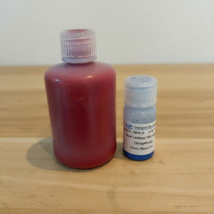 Sphères de polystyrène carboxylé colorées, rouge, vert, bleu, adaptées aux tests visuels. - Product Image 1