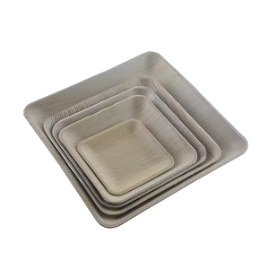 Assiette à dîner jetable carrée écologique en feuille de palmier ensemble de vaisselle prix de gros - Product Image 1