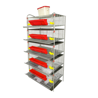 Nouvelle cage à cailles de type H durable pour l'élevage avicole moderne, gestion écologique de la production d'œufs