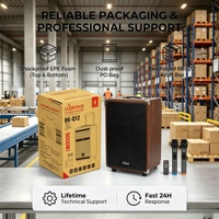 Enceinte Karaoké Bluetooth Prix Promotionnel, Enceinte d'extérieur avec deux micros sans fil, Design en bois, pour la danse en extérieur, le chant de rue, le camping et les événements promotionnels