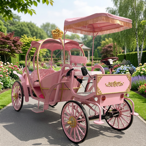 Carruaje Eléctrico Rosa XCEGO para Bodas, Estilo Europeo, Tipo Calabaza, para Paseos Turísticos, Recogida en Hoteles, Origen Henan, en Venta - Product Image 1