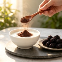 Groothandel Hoge Kwaliteit Bulk Gedroogd Mulberpoeder voor Gebak, Yoghurt en Functionele Dranken