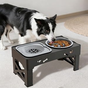Nouveau bol pour chien 2-en-1 surélevé à alimentation lente, hauteur réglable, pliable - Product Image 1