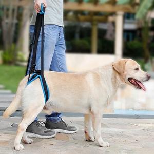 <span class=keywords><strong>Harness</strong></span> pengangkat anjing yang dapat diatur untuk kaki punggung tali penopang hewan peliharaan kaki lemah berdiri hewan peliharaan alat bantuan anjing untuk anjing tua - Product Image 2
