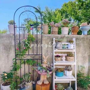 Roses grimpantes, clematis, clôtures de jardin, supports à fleurs d'extérieur, poteaux de soutien, plantes en fer forgé, grimpantes et magnifiques - Product Image 3