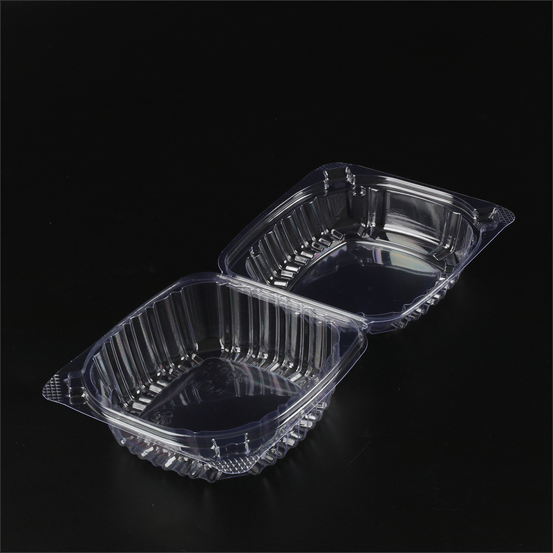 Disposable Hot Food Takeaway Containers Transparent
