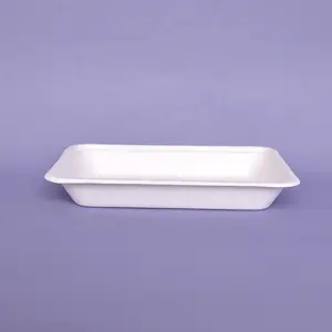 Disposable bagasse food container traysBiodegradable rectangular sushi plate