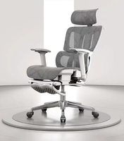 Chaise de bureau ergonomique avec repose-pieds, design confortable et fonctionnel pour une utilisation au bureau, avec accoudoirs 4D, chaise de jeu