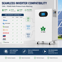 Batterie LiFePO4 16 kWh 51,2 V 314 Ah avec service après-vente international, support local et stock européen pour stockage solaire domestique et alimentation de secours